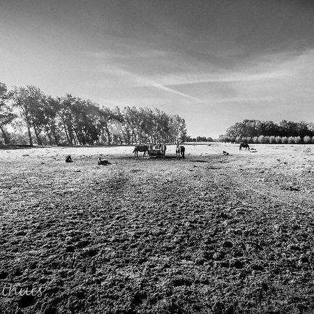 Bed & Breakfast De Bimd Hoeve De Bus Eksteriør billede